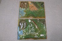 藏品(比較性岩層模型)的圖片